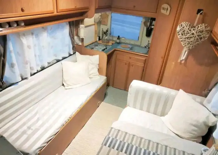 Camping Sweet Camper *
